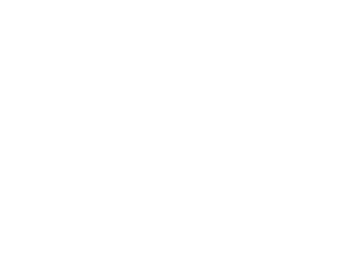Lead