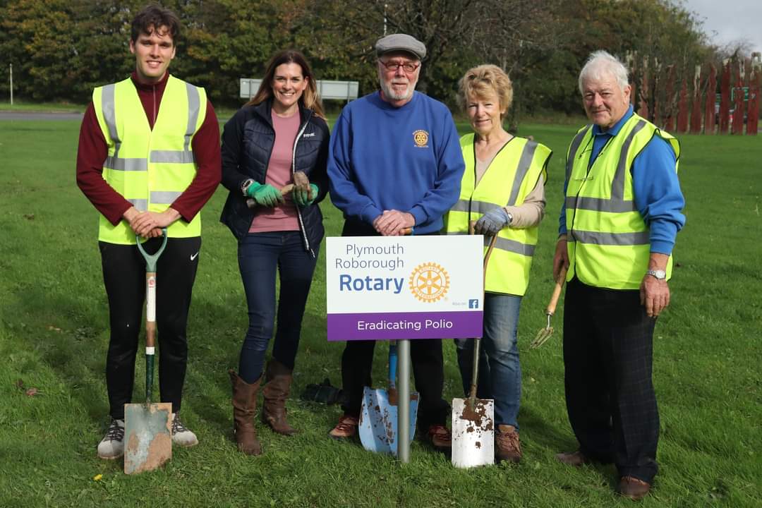 Planting crocuses to eradicate polio